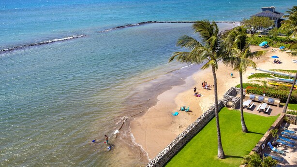 A beach with a stone wall, palm trees, and lounge chairs.