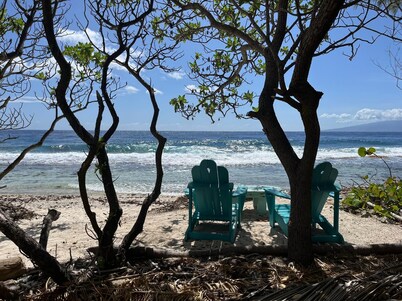 Bungalow in shared garden with house, seafront and private beach. 