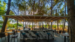 Un espace bar extérieur doté d’un comptoir en marbre, de tabourets et de tables, le tout entouré d’arbres.