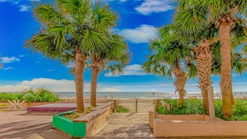 Una spiaggia nelle vicinanze