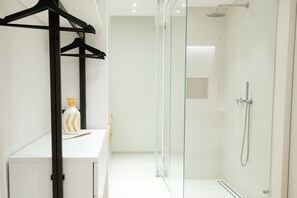 Shower, hair dryer, bidet, towels