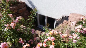 A stone wall with a small window, surrounded by lush pink roses. - Room with private bathroom in detached house (Königsfeld im Schwarzwald)