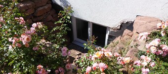 Room with private bathroom in detached house