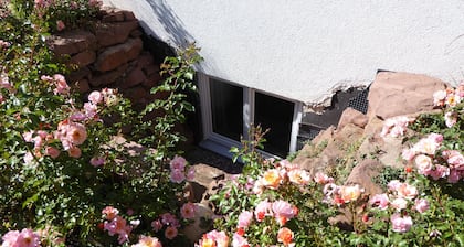 Zimmer mit Privatbad in Einfamilienhaus