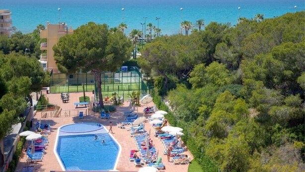 Indoor pool, outdoor pool, pool umbrellas, sun loungers - Hotel Timor (Palma de Mallorca)