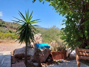 Property grounds - Sea view, Pleasant house in the heart of olive groves in the countryside (Murta Maria)