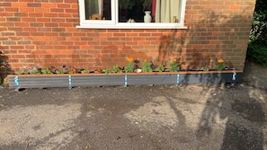 A raised garden bed with various plants and flowers in front of a brick house with a window. - Beautiful big Independent Furnished Bungalow (High Wycombe)