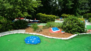 Un jardín ajardinado con un pequeño estanque, una gran roca con diseño de estrella y una cerca de piquetes blancos.