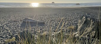 The Driftwood Cottage by The Sea