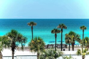 A beachfront view with palm trees and a clear blue sea.