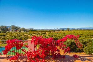Outdoor pool - Beautiful Mediterranean style villa with private pool 4 pax (Dénia)