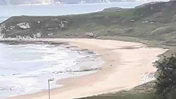 LĂ€genhet | Strand