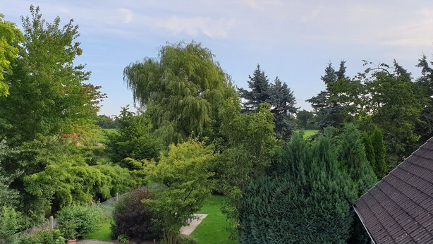 A lush garden with various trees and a pathway. - Lüneburg 0 meters? Welcome! Beautiful 95 sqm, 3 rooms, 1-6 pers., large bathroom, garden (Reppenstedt)