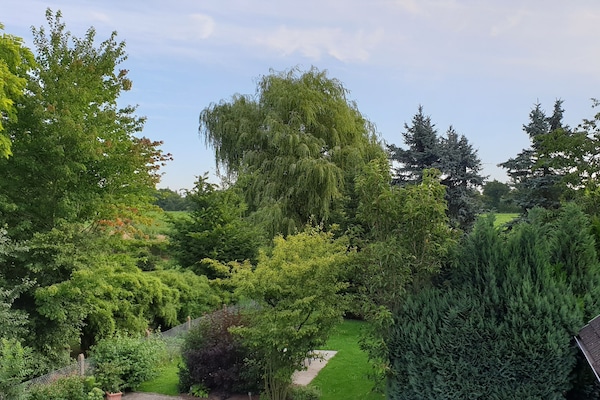 Ausblick Schlafzimmer Lüneburg, hier sind Gästeterrasse und Gartenhaus