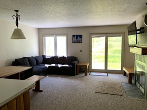 Smart TV, fireplace, books