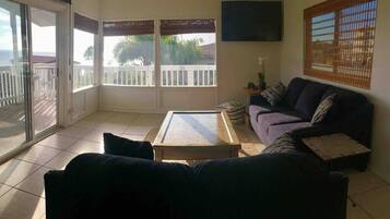 TV, Netflix, books, streaming services