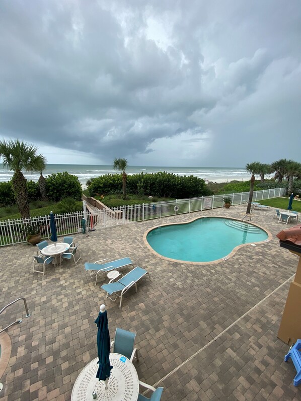 Relax by the ocean-view pool surrounded by palm trees and lounge chairs.