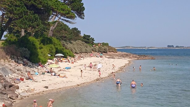 A beach with people sunbathing and swimming, surrounded by trees and rocky terrain. - La Maison de Félicie (Saint-Pol-de-Léon)
