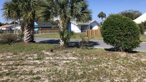 A residential area with houses, palm trees, and a fenced yard. - Peaceful, close to water attractions & Fishing (Panama City)