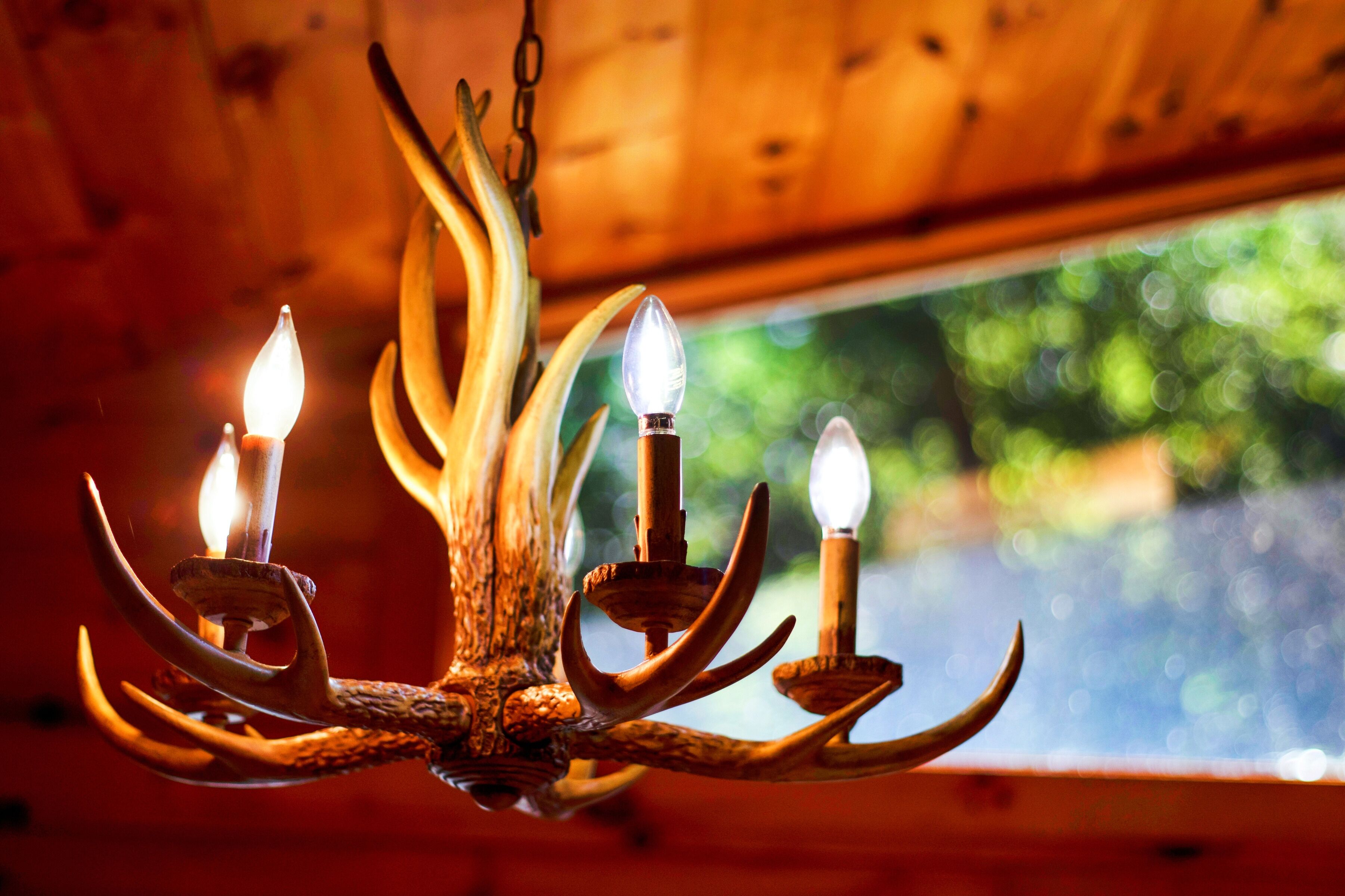 A chandelier with antler-shaped arms and light bulbs.