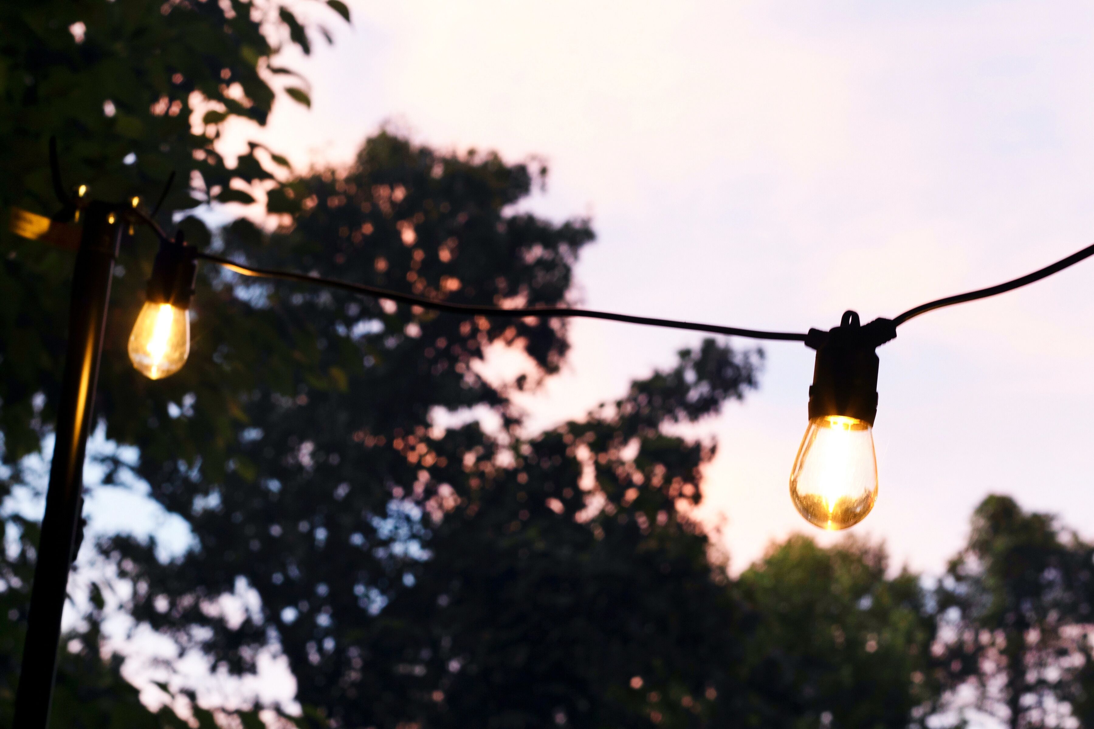 Une guirlande de petites lampes illuminées sur un fond flou d’arbres.