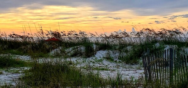 A coastal landscape with sand dunes, grasses, and a small structure in the distance.