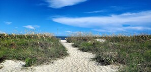 A sandy path leading to a beach with tall grasses and a clear blue sky.