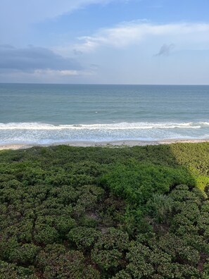 Beach - Ocean Front Beauty!! (Jefferson)