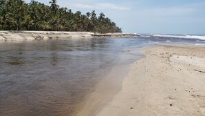 A beach with clear water, sandy shore, and palm trees. - Indigo Palomino Beautiful House (Palomino)