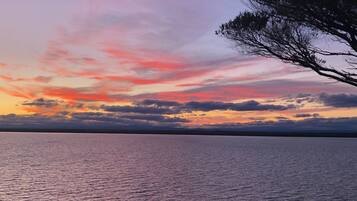 Plage, chaises longues