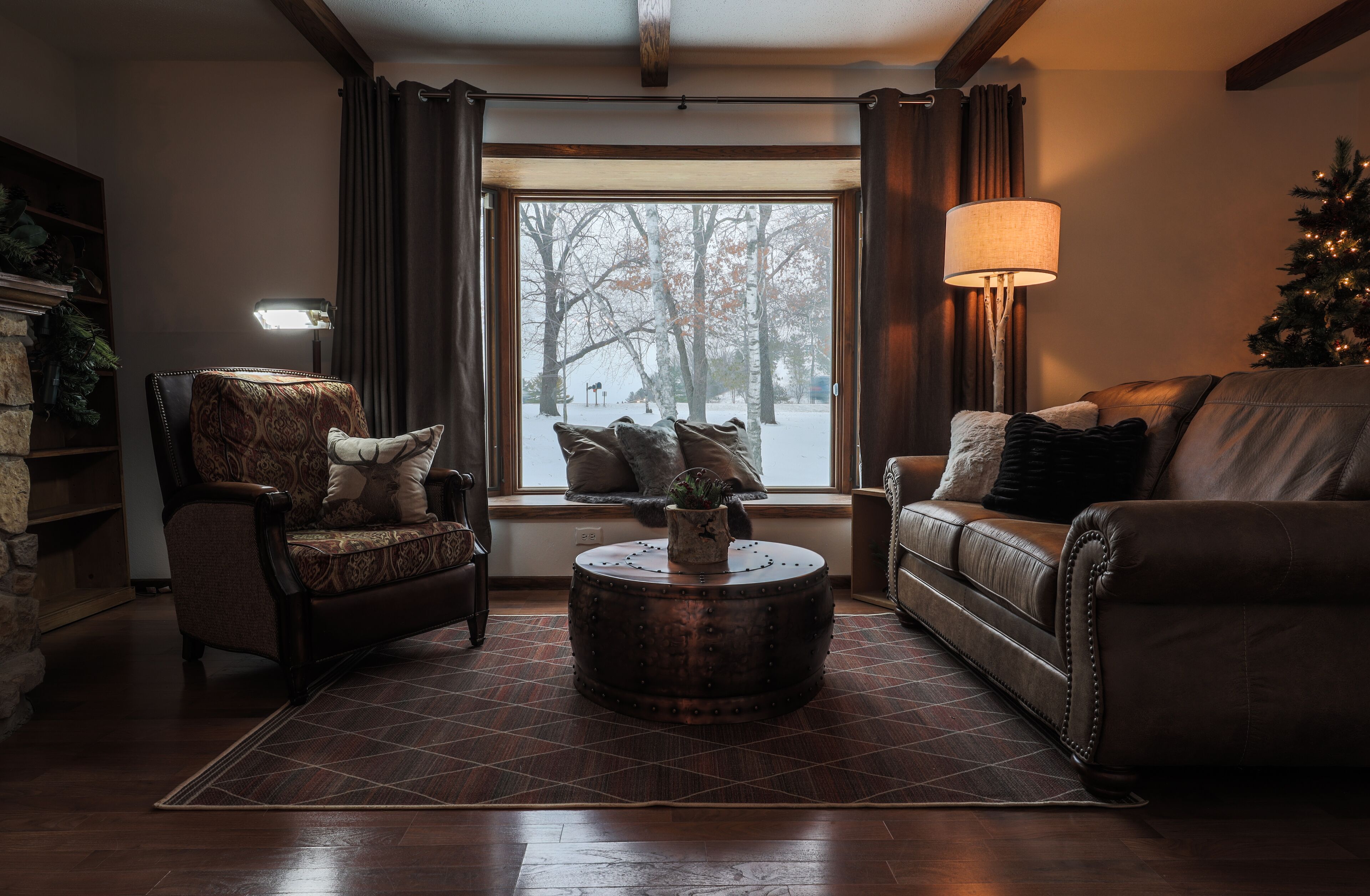 TV connectée, cheminée, lecteur de DVD, livres