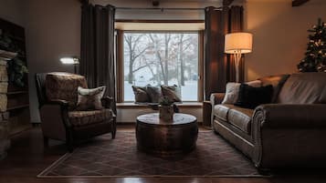 TV connectée, cheminée, lecteur de DVD, livres