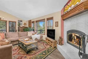 电视、壁炉、电子游戏、书