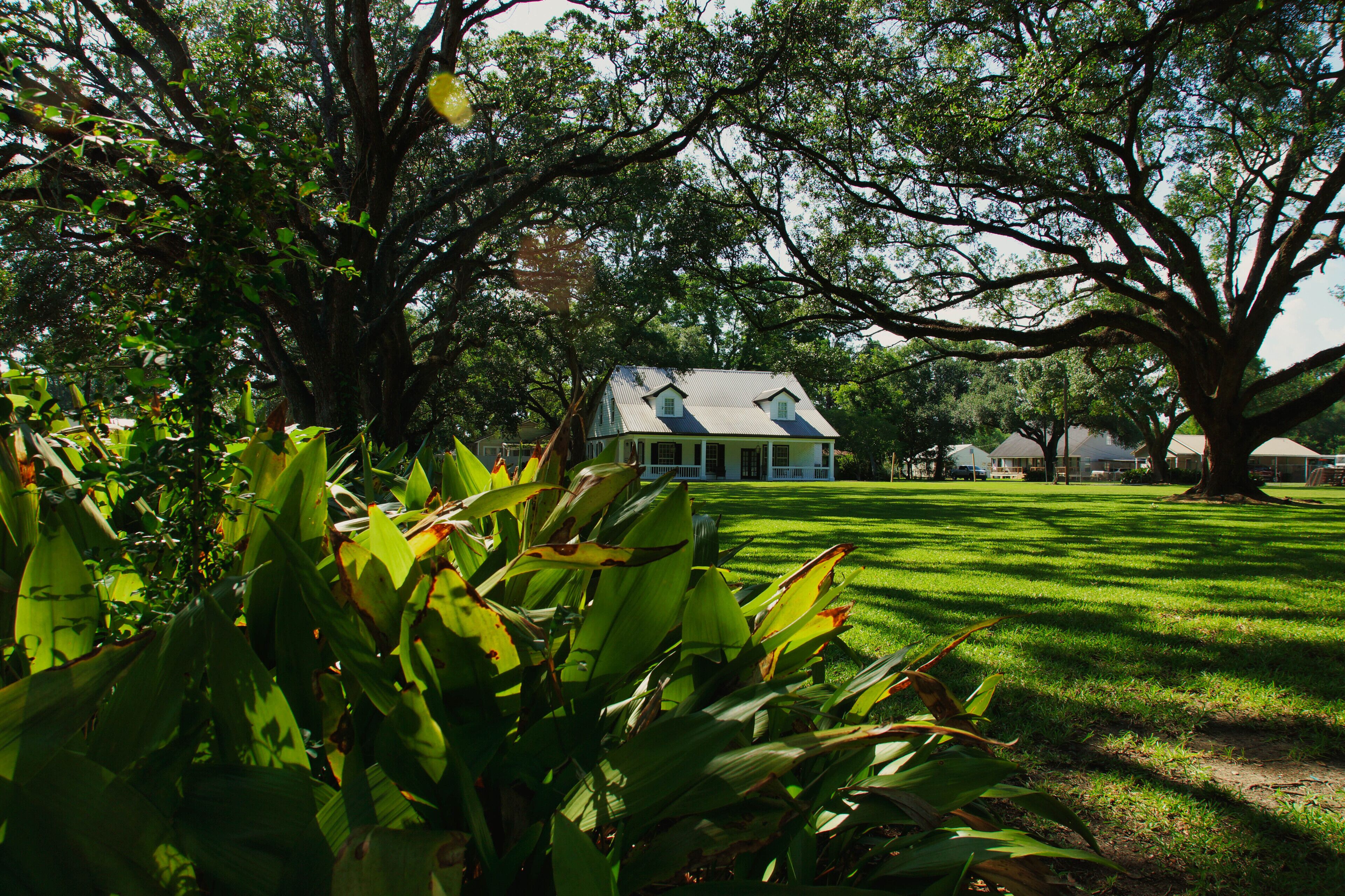 A house surrounded by large trees and well-maintained grass.