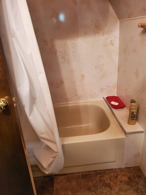 Combined shower/bathtub, towels, soap, toilet paper - Pine Cliff A-frame (Monticello)