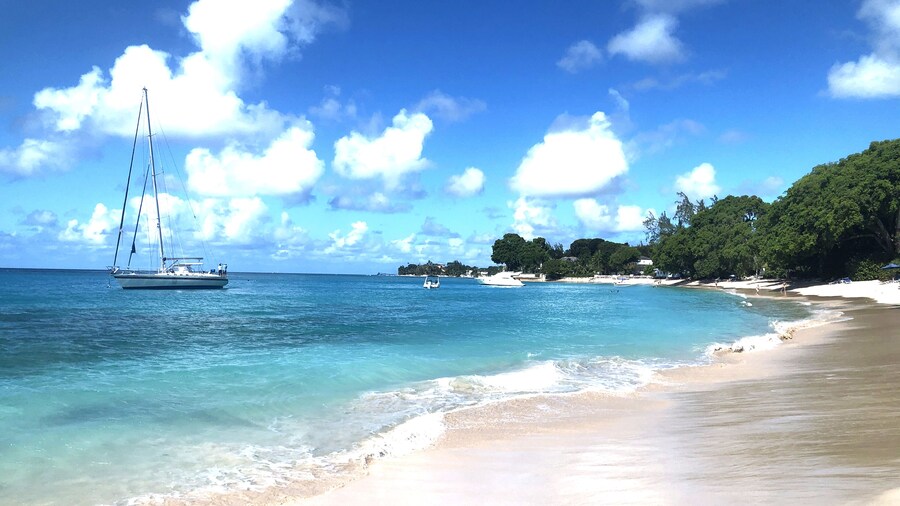 Zenbreak Kingsgate #1