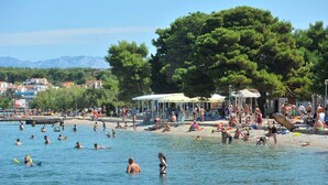 Una playa con gente nadando y tomando el sol, un árbol grande y edificios al fondo.