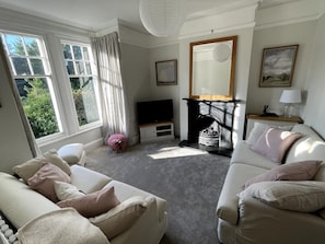 Smart TV, fireplace, books