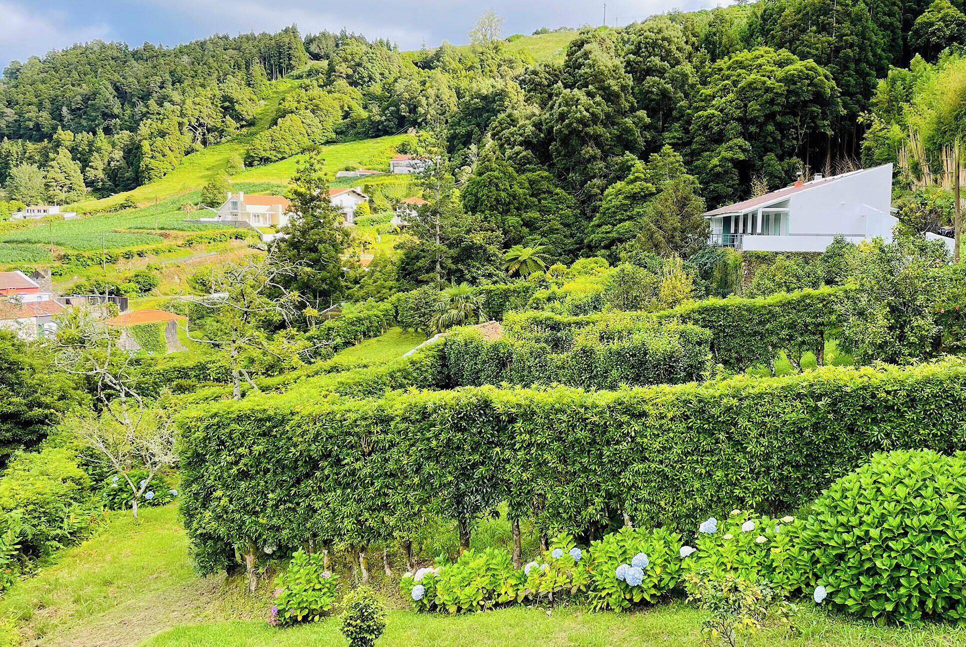 Terrain de l’hébergement 