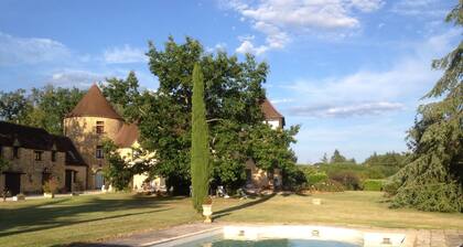 15min SARLAT MANOIR with SWIMMING POOL 7Cb-7sb, WIFI + HOUSEHOLD INCLUDED