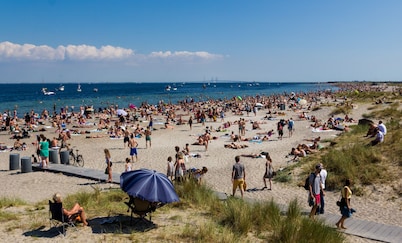 Ama Hyg Atelier- COPENHAGEN-LOVELY APARTMENT- NEAR AIRPORT, METRO AND THE BEACH
