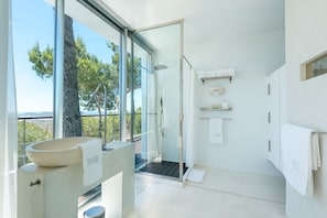 Combined shower/bathtub, jetted bath, hair dryer, bidet