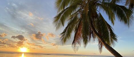 Playa en los alrededores, camastros y toallas de playa