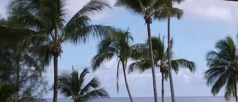 Una playa cerca, sillas reclinables de playa, toallas de playa