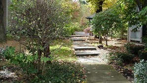 Un sentier qui traverse un jardin où l’on trouve une grande variété de plantes et d’arbres, et qui est bordé d’une clôture.