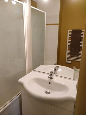 Bathtub, hair dryer, toilet paper