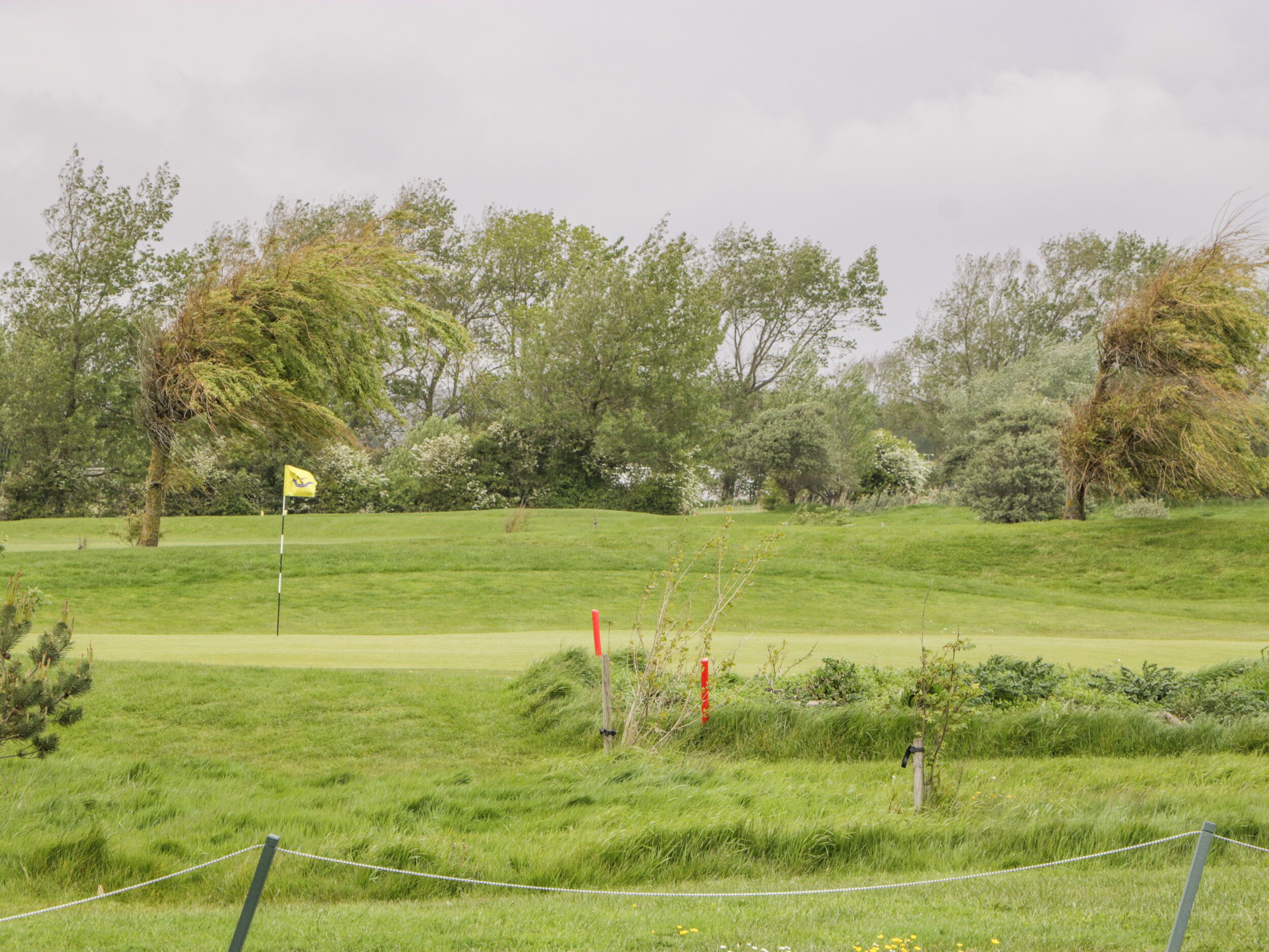 Un terrain de golf avec un drapeau, des arbres et un champ d’herbe.