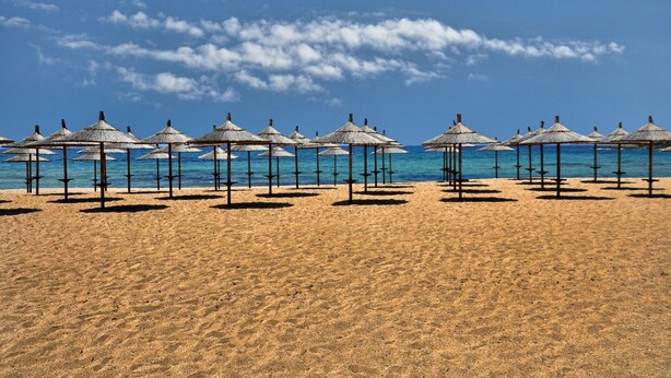 Een strand met rijen rieten parasols en een helderblauwe lucht.