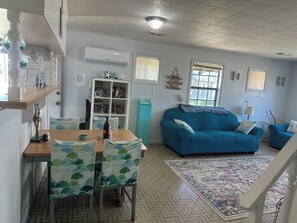 Smart TV, DVD player, books, video library