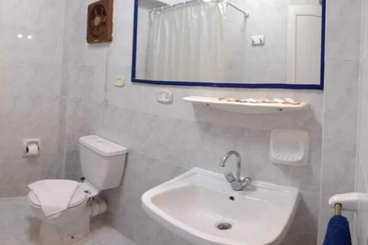 Un baño con ducha, inodoro, lavabo y espejo.